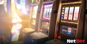 hippopg - Slot Fácil Bet